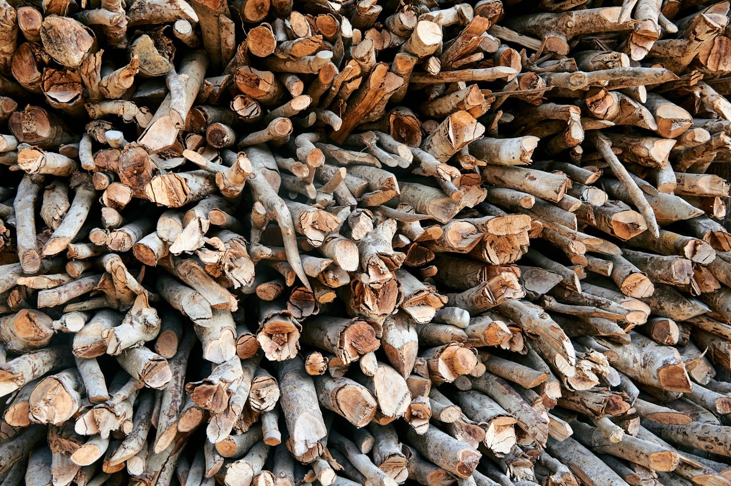 Circular Economy Insights: Samson Fuels’ Journey