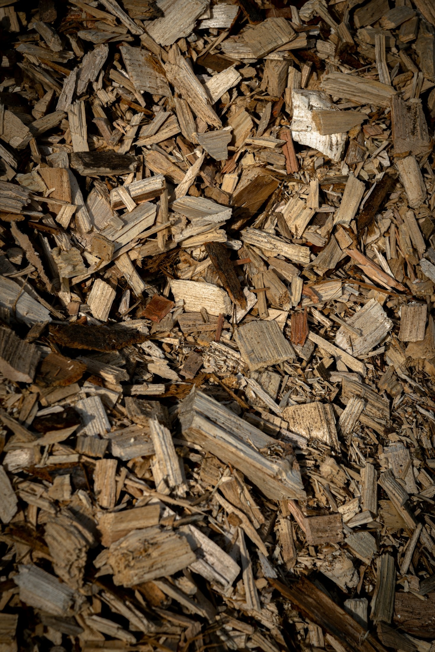 Combatting Climate Change with Eco-Friendly Alternatives